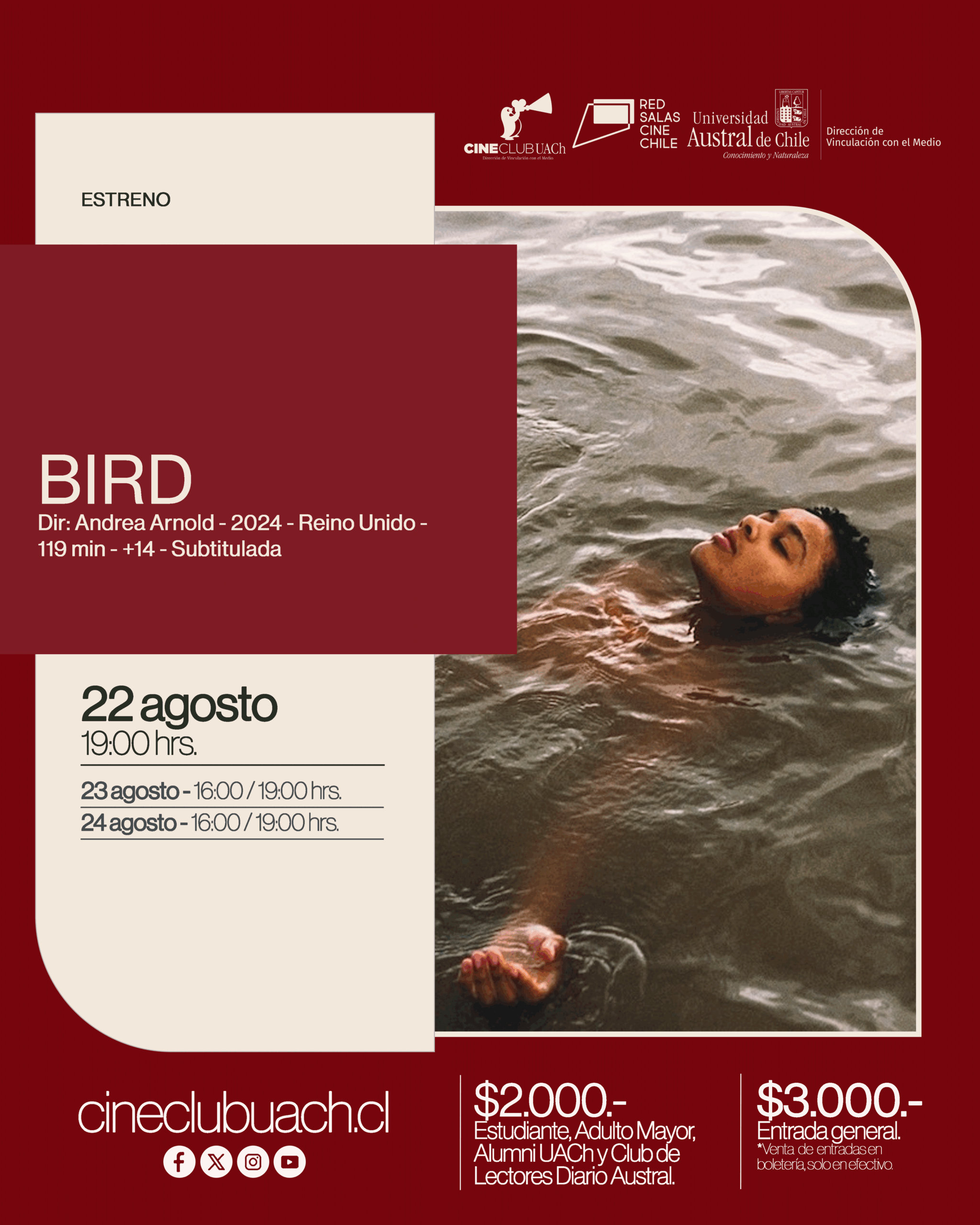 BIRD