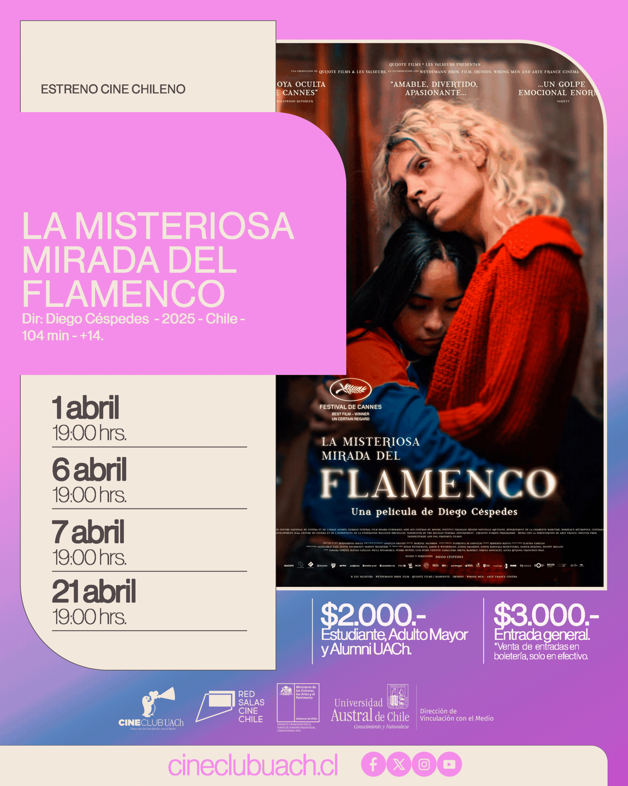 LA MISTERIOSA MIRADA DEL FLAMENCO