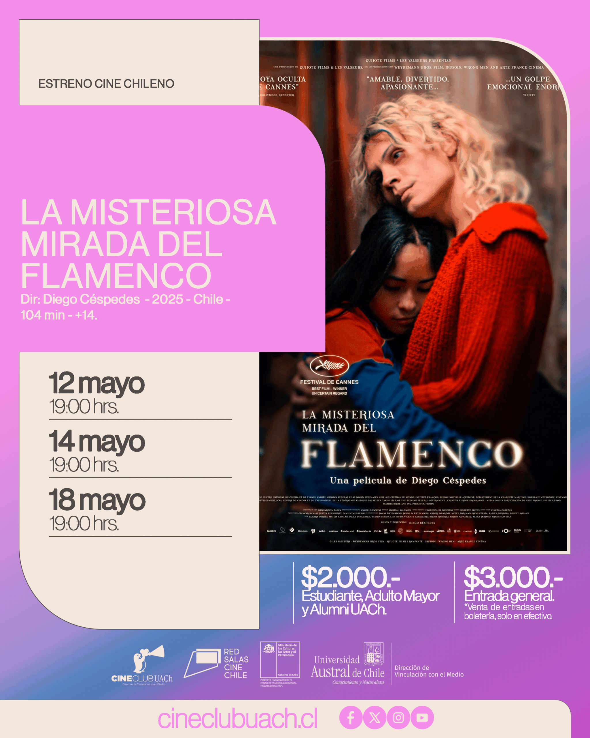 LA MISTERIOSA MIRADA DEL FLAMENCO