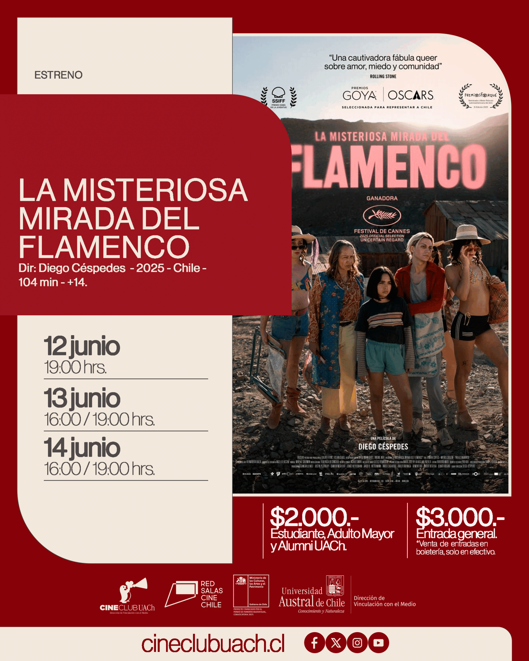 LA MISTERIOSA MIRADA DEL FLAMENCO